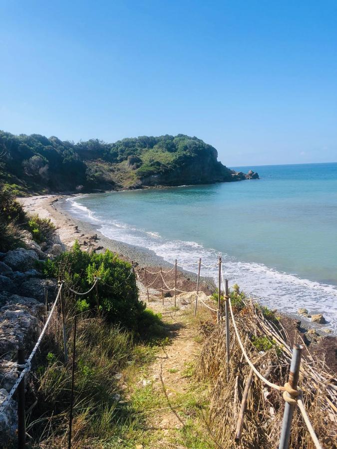 Seahorse Bay * Halikounas