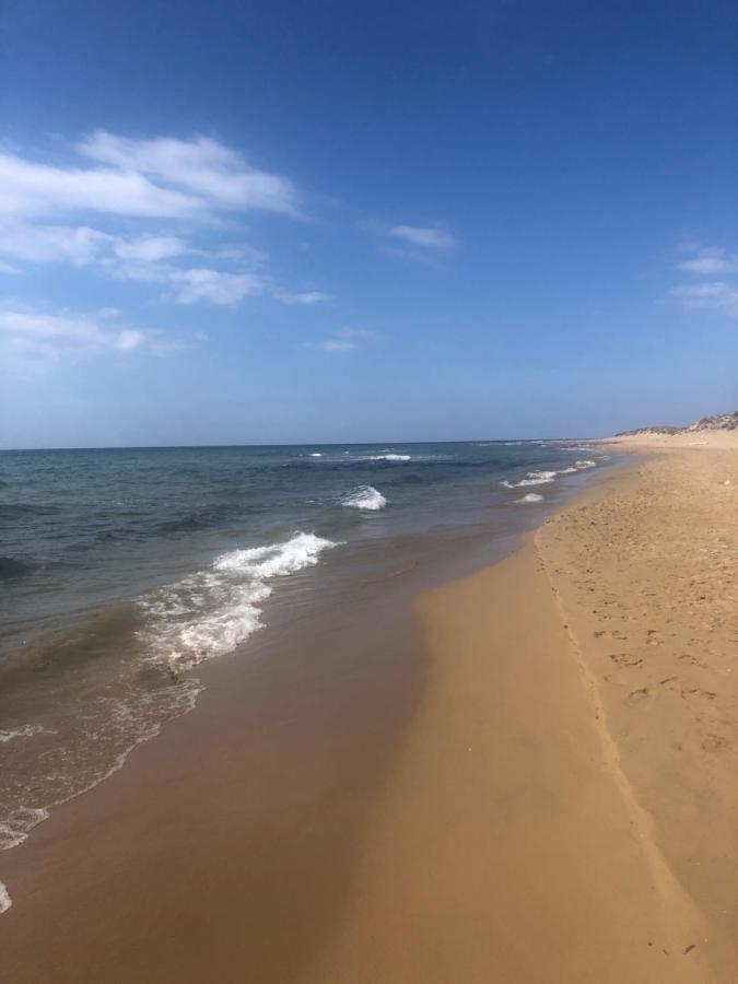 Seahorse Bay