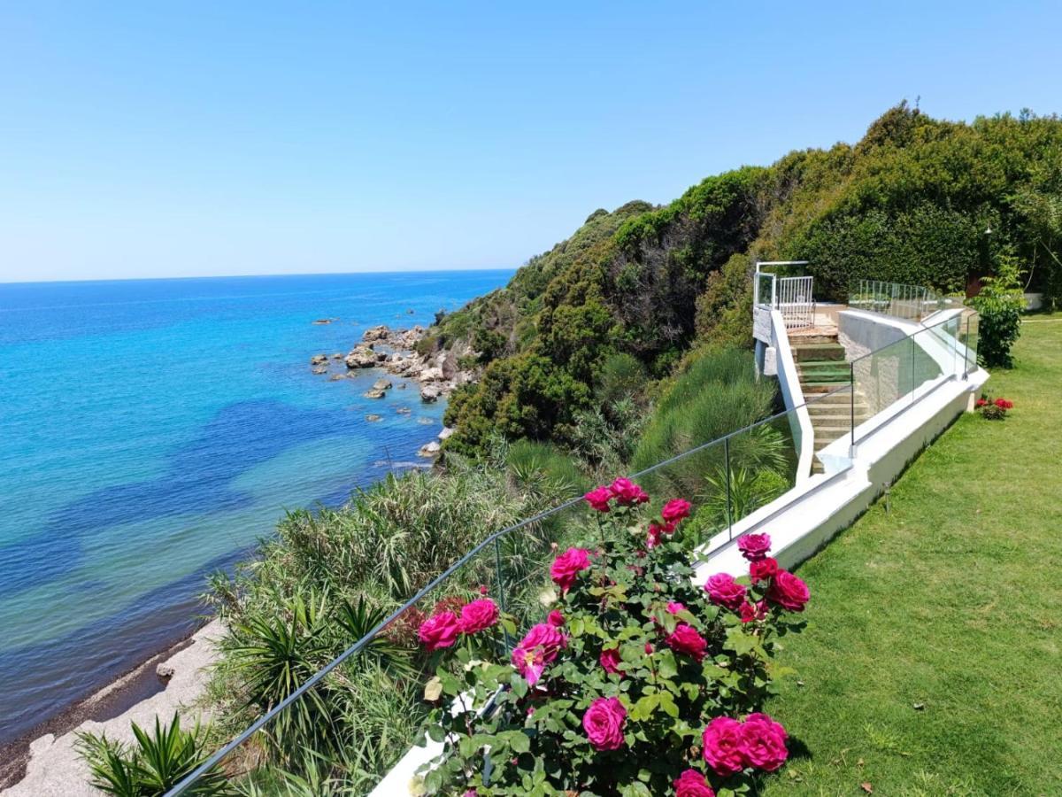 Seahorse Bay * Halikounas