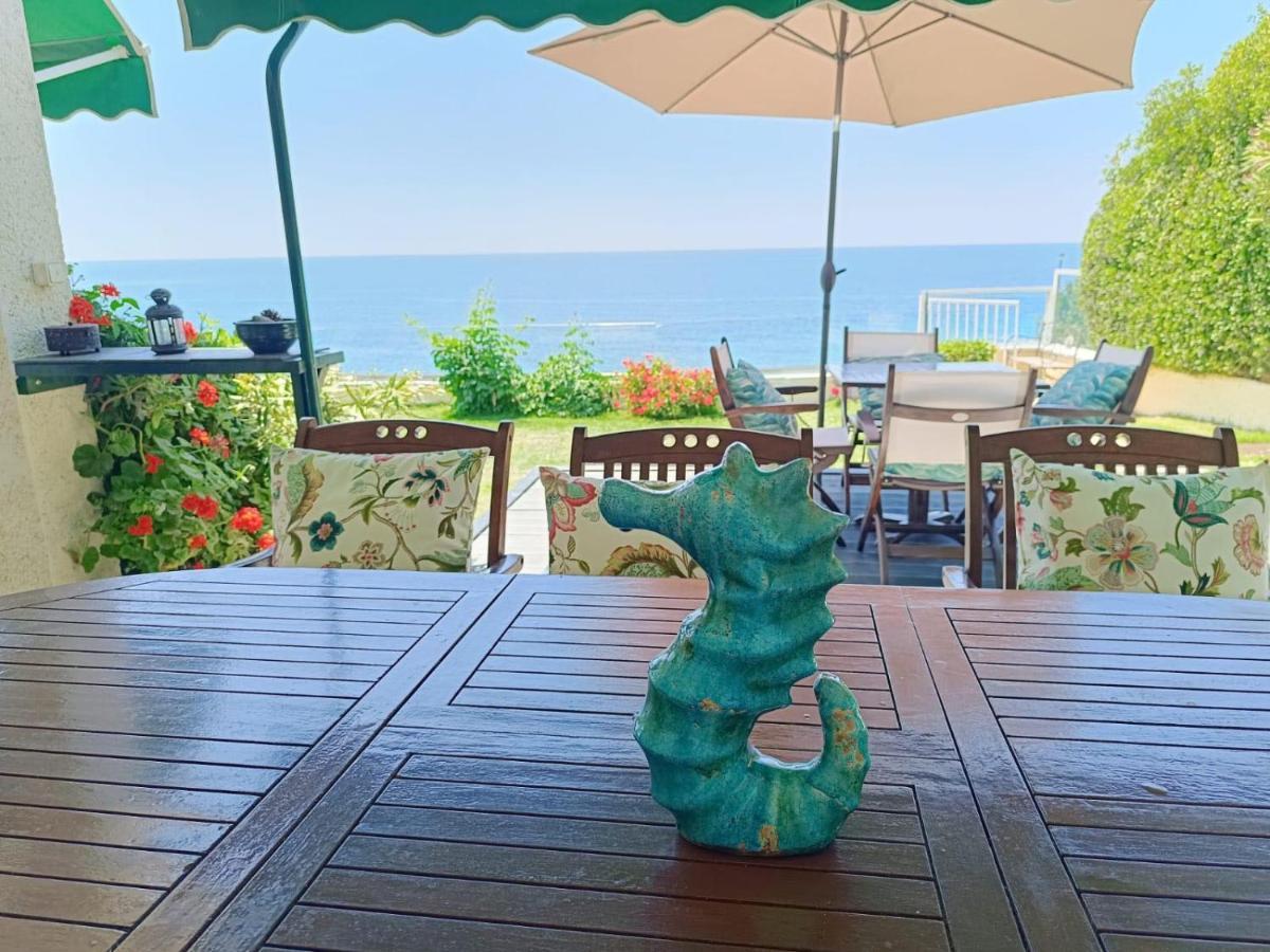 Seahorse Bay