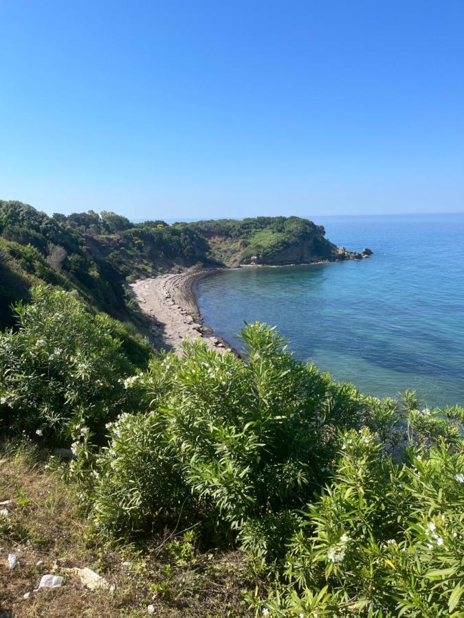 Seahorse Bay