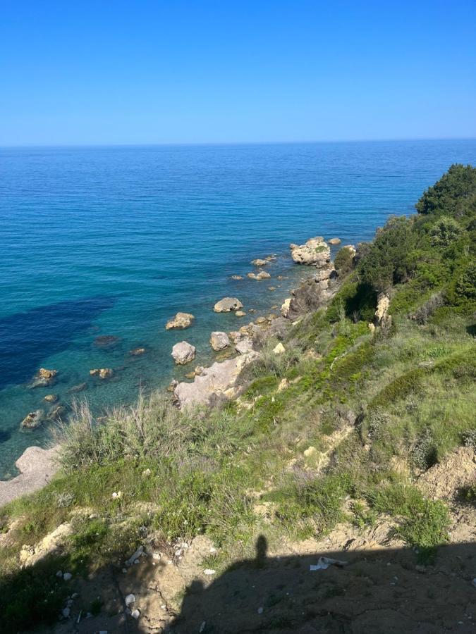 Seahorse Bay Halikounas